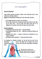 Vorschau - Merkblätter - Hefteinträge Organsystem, Natur und Technik 5 - Deckblatt