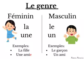 Aperçu - Apprentissages en autonomie - Affichage Français grammaire - le genre du nom - Page 1
