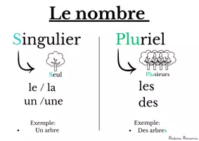 Aperçu - Apprentissages en autonomie - Affichage Français grammaire - le nombre du nom - Page de couverture