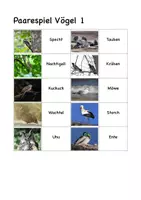 Vorschau - Spiele - Heimische Vögel - Seite 2