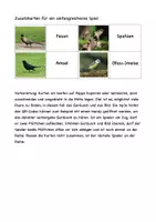 Vorschau - Spiele - Heimische Vögel - Seite 3