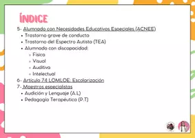 Vista previa - Refuerzo / NEE / Materiales de apoyo - Documento sobre alumnos con NEE-NEAE (ACNEE - ACNEAE) - página 3