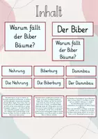 Vorschau - Präsentationen/Tafelbilder - Tafelbild: Warum fällt der Biber Bäume? - Seite 1