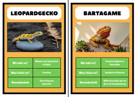 Vorschau - Arbeitsblätter - Reptilien – Bildkarten & Tabelle für Grundschüler - Seite 1