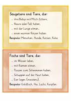 Vorschau - Arbeitsblätter - Tiergruppen von Haustieren - Schilder und Arbeitsblätter - Seite 2