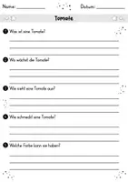 Vorschau - Spiele - Tomate MEGABUNDLE - Wissenskartei, Lückentext, Steckbrief, Suchsel, Quizkarten - Seite 2