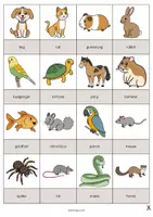 Vorschau - Spiele - Pets: Drawing Game (Englisch) - Seite 2