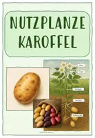 Vorschau - Arbeitsblätter - NUTZPFLANZE: KARTOFFEL (Infoblätter, Arbeitsblätter, Brettspiel) - Deckblatt