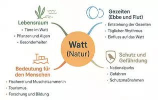 Vorschau - Arbeitsblätter - Lernposter + Arbeitsblätter zum Thema "Watt (Natur)" + Lösung & MP3 + Mindmap + Infografik - Seite 3