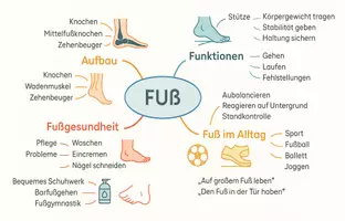 Vorschau - Arbeitsblätter - Arbeitsblätter zum Thema "Fuß" + Lösung & MP3 + Mindmap + Infografik - Seite 2