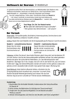 Vorschau - Arbeitsblätter - Versuch Erregungsleitung Wettbewerb Neurobiologie - Seite 1