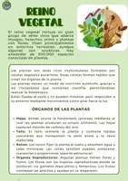 Vista previa - Refuerzo / NEE / Materiales de apoyo - Paquete de materiales BILINGÜE PLANT KINGDOM - página 1