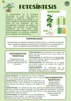 Vista previa - Refuerzo / NEE / Materiales de apoyo - Paquete de materiales BILINGÜE PLANT KINGDOM - página 3