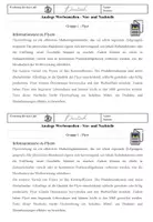 Vorschau - Arbeitsblätter - Vergleich analoger Werbemedien Werbung Gruppenarbeit - Seite 3