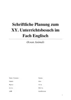 Vorschau - Stundenentwürfe - Schriftliche Unterrichtsplanung (10 Seiten): Ocean Animals - Seite 2