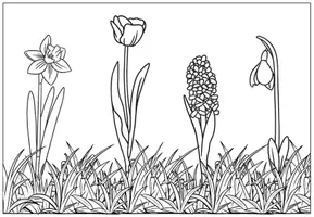 Vorschau - Mal- und Bastelvorlagen - Malvorlage / Ausmalbild - Blumenwiese im Frühling - Frühblüher - Seite 1
