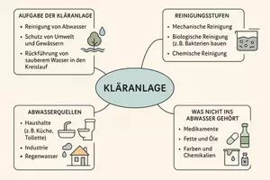Vorschau - Arbeitsblätter - Lernposter + AB mit Fragen zum Thema "Kläranlage" + Lösungsblatt + Mindmap + Infografik - Seite 2