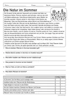 Vorschau - Arbeitsblätter - Lesen & Verstehen - Im Sommer (Klasse 3-5) - Seite 2