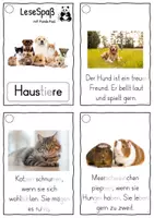 Vorschau - Fördermaterial/Inklusion - Haustiere, Lesekarten für Erstleser (Silbenmethode), Nr. 022 - Seite 1