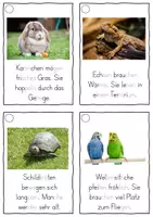 Vorschau - Fördermaterial/Inklusion - Haustiere, Lesekarten für Erstleser (Silbenmethode), Nr. 022 - Seite 3