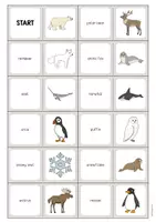 Vorschau - Arbeitsblätter - ARCTIC and ANTARCTIC: XXL Materialpaket für den Englischunterricht (Arktis und Antarktis) - Seite 3