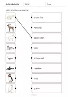 Vorschau - Arbeitsblätter - Arctic and Antarctic: Draw the lines 2 (Englisch) - Seite 2
