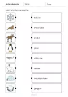 Vorschau - Arbeitsblätter - Arctic and Antarctic: Draw the lines 2 (Englisch) - Seite 3
