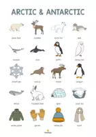 Vorschau - Poster - Arctic and Antarctic: Vocabulary Poster (Englisch) - Seite 2