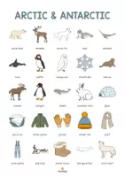 Vorschau - Poster - Arctic and Antarctic: Vocabulary Poster (Englisch) - Seite 3