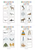 Vorschau - Spiele - Arctic and Antarctic: Education Lotto (Englisch) - Seite 3