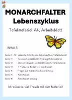 Vorschau - Arbeitsblätter - Der Monarchfalter, Lebenszyklus Tafelmaterial, Arbeitsblatt und Fragen, Klasse 2, 3, 4 - Seite 1