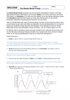 Vorschau - Arbeitsblätter - Arbeitsblatt zur Räuber-Beute-Beziehung - Seite 1