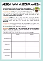 Vorschau - Arbeitsblätter - Nutzpflanzen - Großer Museumsrundgang - Seite 3