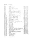 Vorschau - Arbeitsblätter - Physik Tägliche Übungen zur Prüfungsvorbereitung - Seite 2
