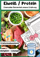 Vorschau - Arbeitsblätter - Eiweiß Bedeutung im Körper - Ernährung und Stoffwechsel - Deckblatt