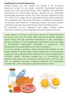 Vorschau - Arbeitsblätter - Eiweiß Bedeutung im Körper - Ernährung und Stoffwechsel - Seite 3