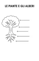 anteprima - Materiale di supporto/inclusione - SCHEDE DI VERIFICA LE PIANTE E GLI ALBERI 2 PAGINE DI VERIFICA - Pagina 1