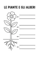anteprima - Materiale di supporto/inclusione - SCHEDE DI VERIFICA LE PIANTE E GLI ALBERI 2 PAGINE DI VERIFICA - Pagina 2