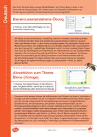 Vorschau - Arbeitsblätter - Welttag der Biene: Unterrichtsmaterial für verschiedene Fächer und Altersstufen - Seite 1