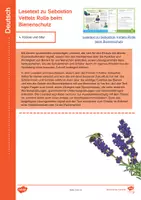 Vorschau - Arbeitsblätter - Welttag der Biene: Unterrichtsmaterial für verschiedene Fächer und Altersstufen - Seite 2