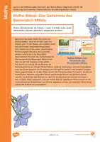 Vorschau - Arbeitsblätter - Welttag der Biene: Unterrichtsmaterial für verschiedene Fächer und Altersstufen - Seite 3