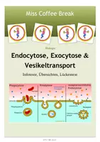 Vorschau - Arbeitsblätter - Endocytose - Exocytose - Vesikeltransport - Deckblatt