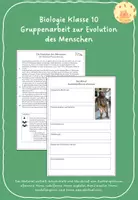 Vorschau - Arbeitsblätter - Gruppenarbeit zur Evolution des Menschen - Deckblatt