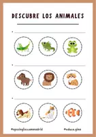 Vista previa - Hojas de trabajo - Comprensión lectora - LOS ANIMALES - página 3