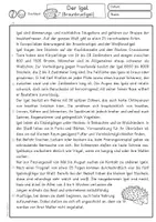 Vorschau - Arbeitsblätter - Sachtext der Igel Leseaufgabe in Klasse 3, Klasse 4, Klasse 5, Leseverstehen - Seite 1