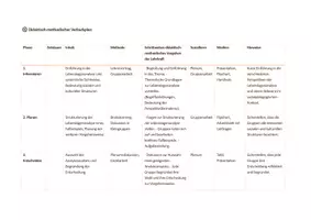 Vorschau - Stundenentwürfe - Lebenslagenanalyse Systemische Sichtweise & soziokulturelle Lebenslagen Modell der vollständigen beruflichen Handlung, 8-12 UE, Lernfeld 6: „Kinder, Jugendliche und junge Erwachsene bei der Bewältigung besonderer Lebenssituationen unterstützen“ - Seite 2