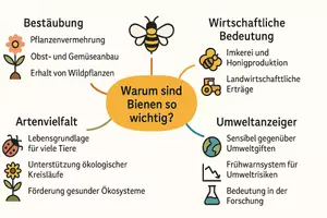 Vorschau - Arbeitsblätter - Lernposter + Arbeitsblätter zum Thema "Warum sind Bienen so wichtig?" + Lösung & MP3 + Mindmap + Infografik - Seite 3