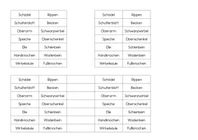 Vorschau - Bildkarten - Legeübung / Klettübung Hundeskelett - Seite 2