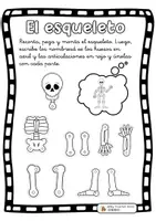 Vista previa - Hojas de trabajo - Esqueleto Huesos y articulaciones. - Portada