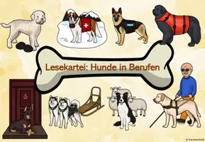 Vorschau - Arbeitsblätter - Hunde in Berufen - Differenzierte Lesekartei ink. Arbeitsheft - Seite 1